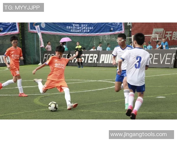 赛后分析：杭州足球队与成都足球队的战术配合与表现评估